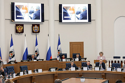 Сенатор РФ Елена Писарева выступила с ежегодным отчетом о своей деятельности