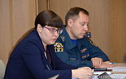 Состоялись заседания комитетов областной Думы