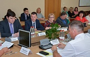 Елена Писарева провела заседание совета по местному самоуправлению