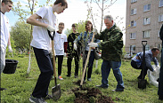 Субботники по озеленению Западного района Великого Новгорода продолжаются