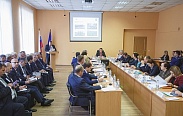 Елена Писарева приняла участие в заседании правительства Новгородской области