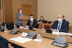 Елена Писарева представила проект областного закона «О Почетных званиях населенных пунктов Новгородской области»