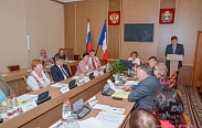 Елена Писарева провела заседание совета по местному самоуправлению