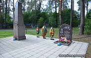 Молодежный парламент при Новгородской областной думе организовал акцию «Чистый берег»