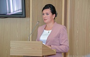 Елена Писарева провела заседание совета по местному самоуправлению