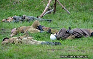 В Тесово-Нетыльском прошел седьмой фестиваль «Забытый подвиг – Вторая Ударная армия»