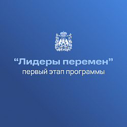 Члены Молодежного парламента при Новгородской областной Думе участвуют в программе по формированию управленческой команды региона «Лидеры перемен»