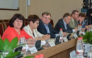 Елена Писарева провела заседание совета по местному самоуправлению